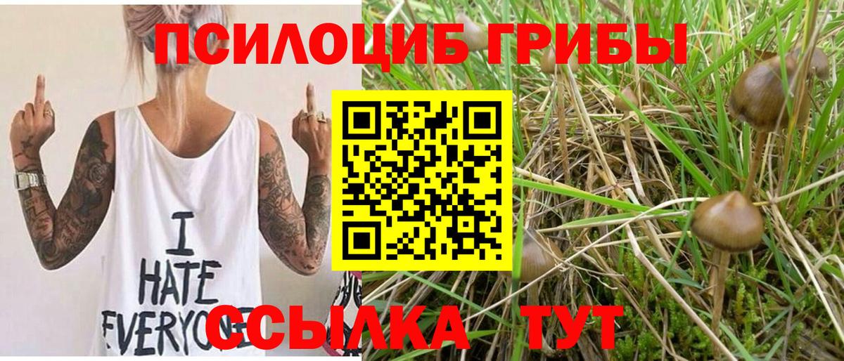 Галлюциногенные грибы GOLDEN TEACHER  Вход с VPN  Северодвинск  Псилоцибиновые грибы мицелий 